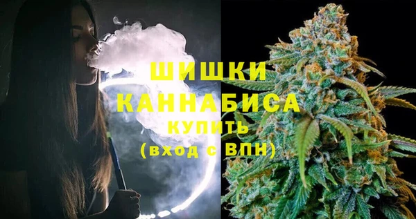 бошки Белокуриха