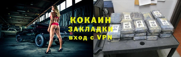 бошки Белокуриха
